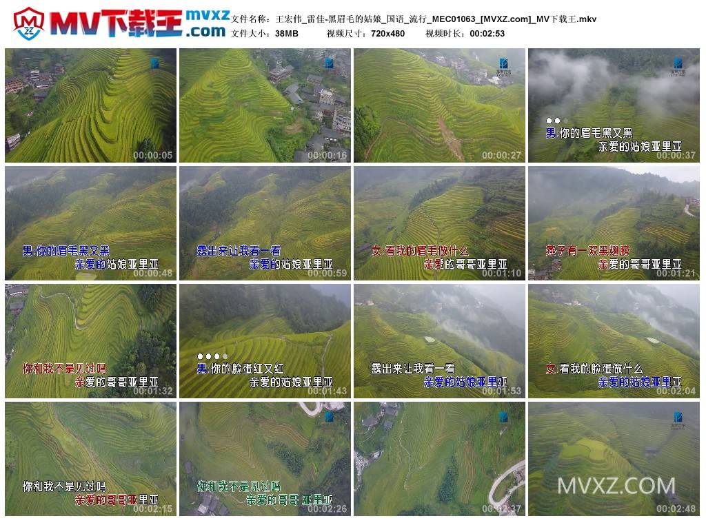 王宏伟_雷佳-黑眉毛的姑娘_国语_流行_MEC01063